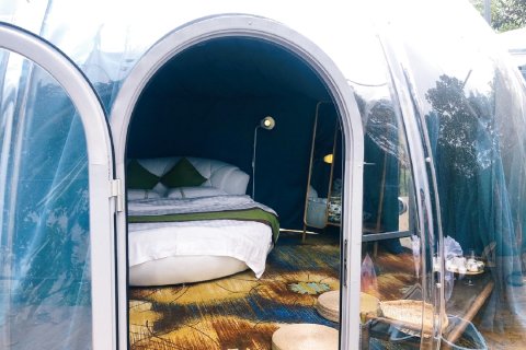 黄小白很肥很呆特色民宿(新联大道分店)