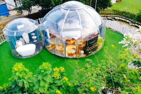 黄小白很肥很呆特色民宿(新联大道分店)