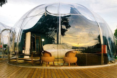 黄小白很肥很呆特色民宿(新联大道分店)