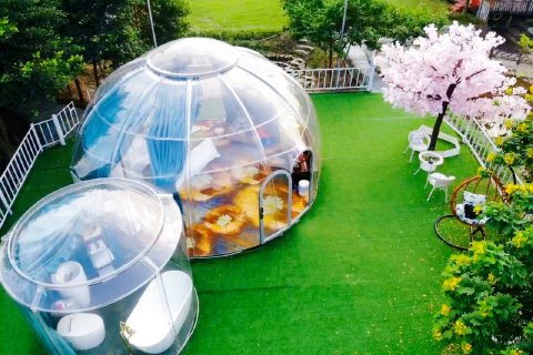 黄小白很肥很呆特色民宿(新联大道分店)