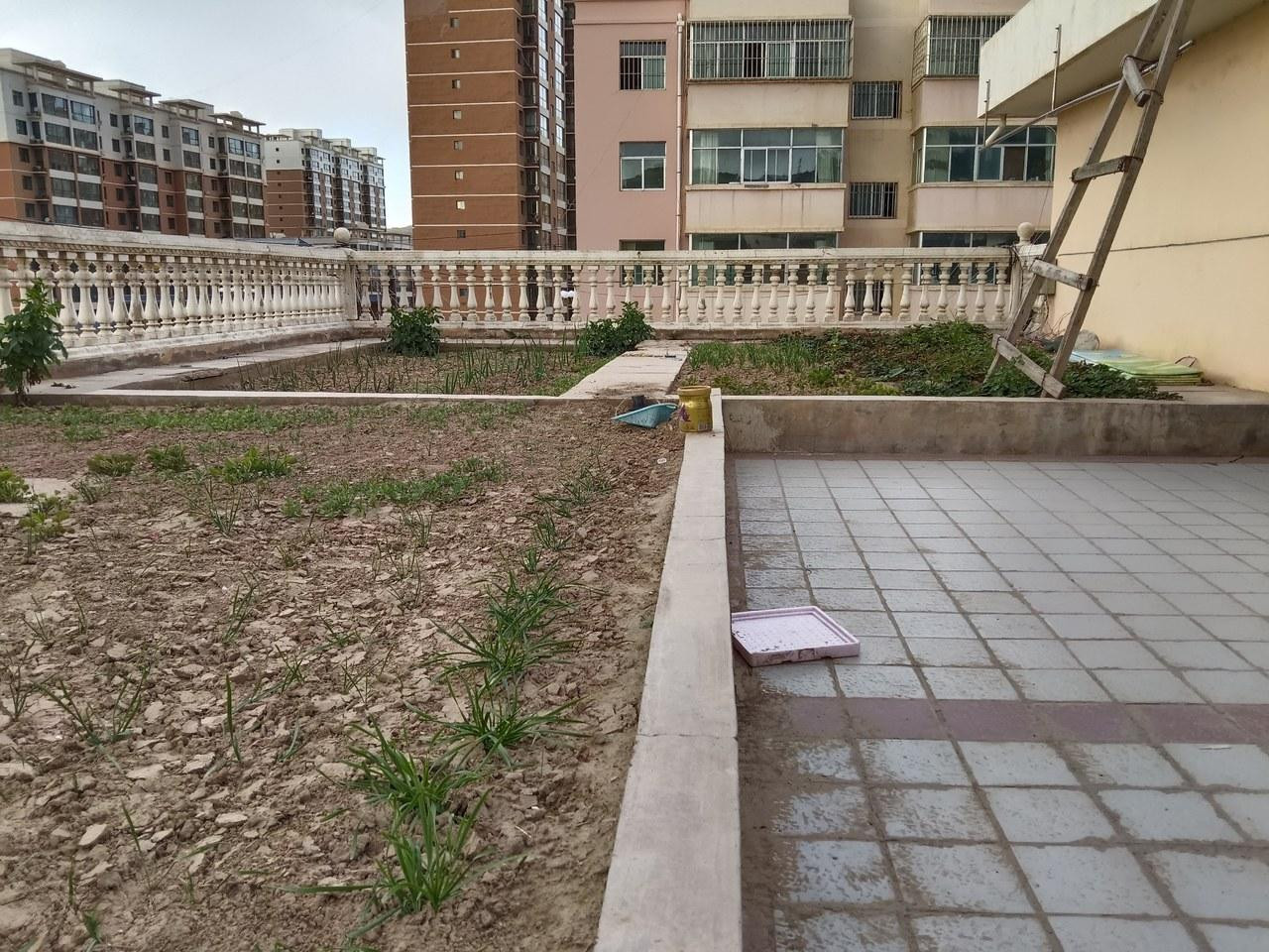 杨公寓(枝阳街分店)