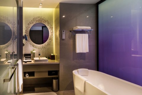 南京禄口机场雅高铂尔曼大酒店