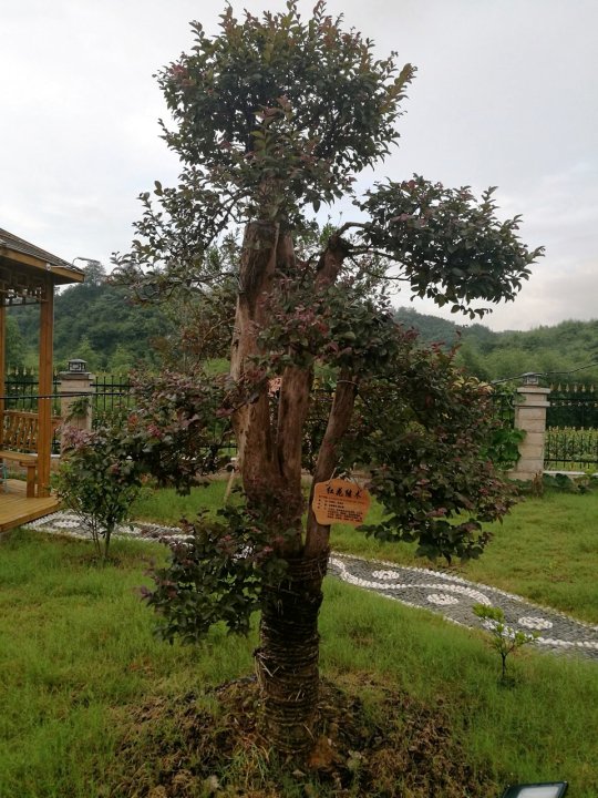 绩溪度假木屋特色民宿