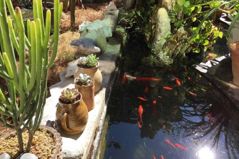 大理百合国际青年旅舍