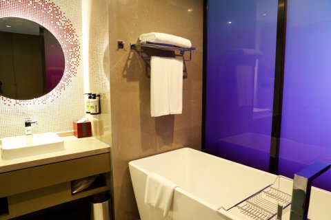 南京禄口机场雅高铂尔曼大酒店