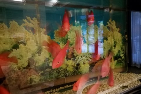 莫林风尚酒店(冷水江沿江路店)