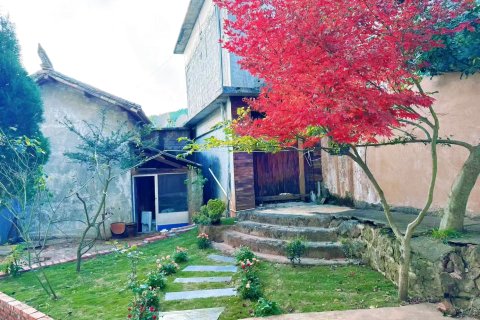 红土地野陌拾光花园民宿