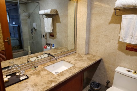 仪陇上鼎国际酒店