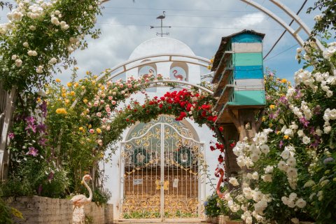丽江火烈鸟主题客栈(白沙古镇店)