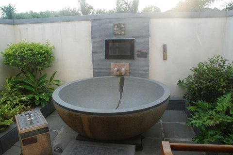 河源紫金御临门温泉度假村