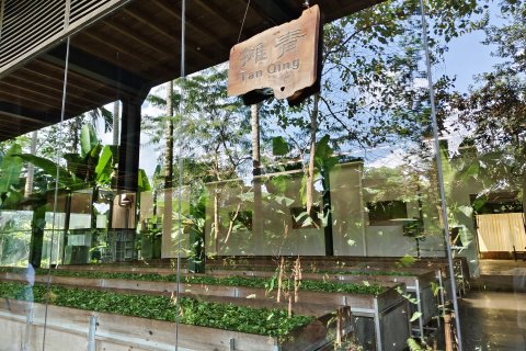 澜沧景迈柏联酒店