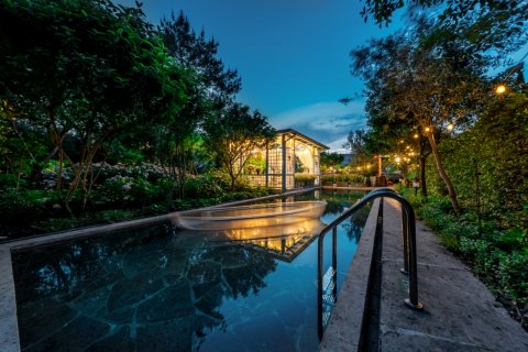 松阳叶子庄园民宿