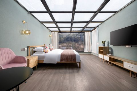 肆舍吾入云上度假美宿民宿