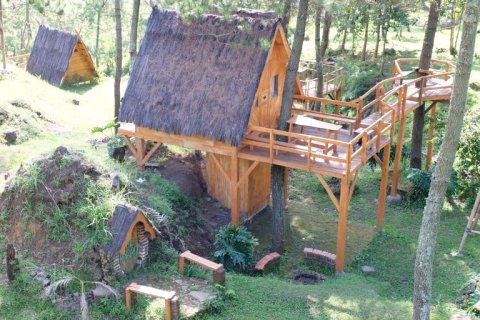 Papandayan Camping Ground(Papandayan Camping Ground)