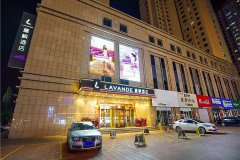 麗枫酒店(乌鲁木齐国际机场铁路局地铁站店)
