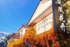 大理古城凤凰花开泰式客栈