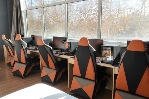 阜城假日精品酒店