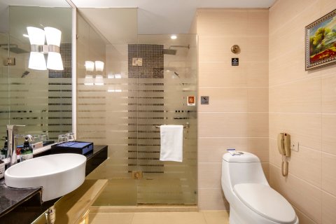 阿克苏浦东假日酒店(阿克苏火车站凤泉河公园店)