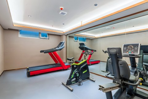 麗枫酒店(石家庄正定古城店)