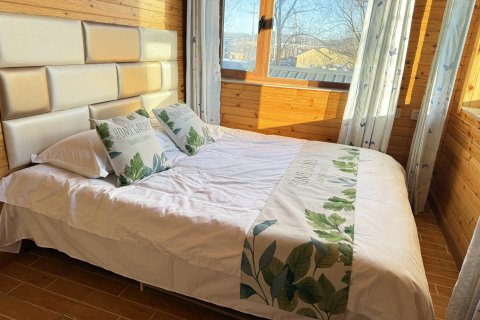 亚布力滑雪场风情别墅