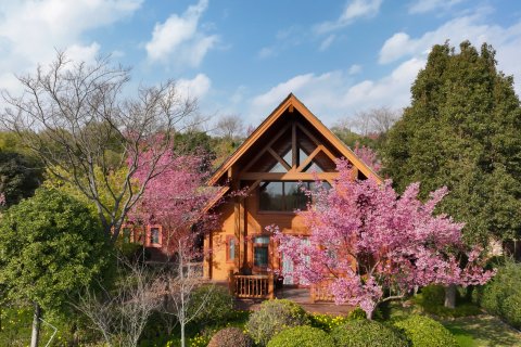 弥勒太平湖森林木屋酒店