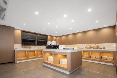 飞龙未来酒店(成都崇州市政府罨画池店)