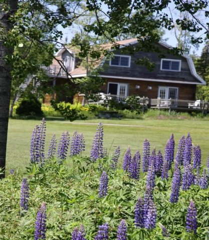 布罗德沃特小屋旅馆(Broadwater Inn & Cottages)