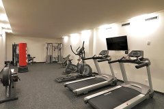 斯尼德庞顿斯 - 舒马瓦酒店(Hotel Srní Depandance - Šumava)