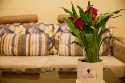 中卫天和时尚酒店