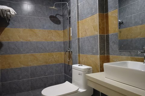 大新山水丽景酒店