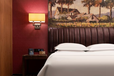 爱利根ELEGANT异国印象·美式风格Club酒店(浦江店)