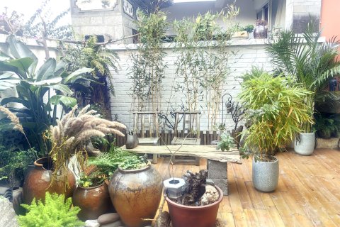 大理古城庭留客栈(人民路店)