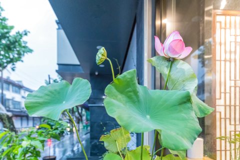 嘉禾客栈(苏州平江路拙政园店)