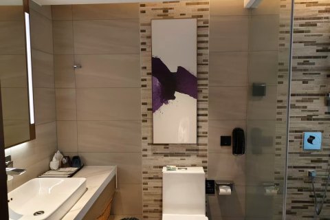 麗枫酒店(湘潭湘乡宾馆店)