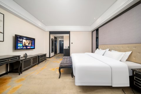 乌鲁木齐银星大酒店(德汇万达广场奇台路店)