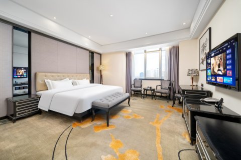 乌鲁木齐银星大酒店(德汇万达广场奇台路店)