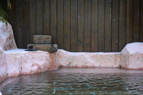 龙岩天子温泉旅游度假区(珑泊湾大酒店)