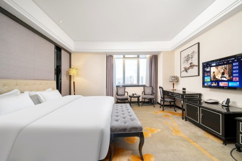 乌鲁木齐银星大酒店(德汇万达广场奇台路店)