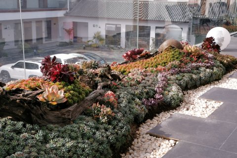 三朵大酒店(丽江古城店)