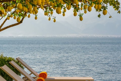 听花堂海景花园美宿(大理洱海天境店)