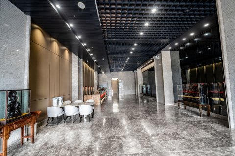 天成大酒店(文昌中学高铁站店)