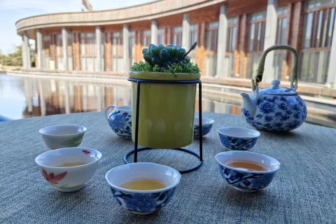 唐山曹妃岛酒店