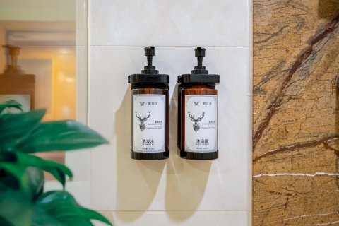 维也纳国际酒店(柳州五星步行街店)