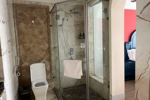 大邑新视窗假日酒店