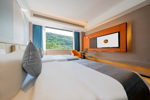 田林锦龙大酒店