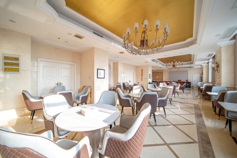 维也纳国际酒店(桐城六尺巷店)