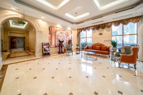 维也纳国际酒店(桐城六尺巷店)