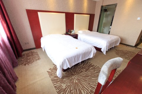 柳州天龙大酒店(五星商业步行街店)