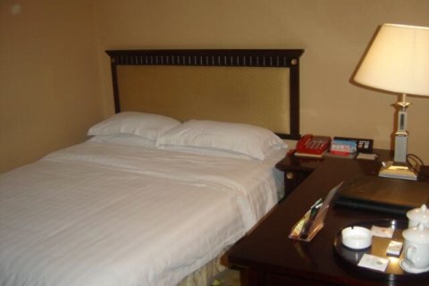 阿克苏东方国际大酒店