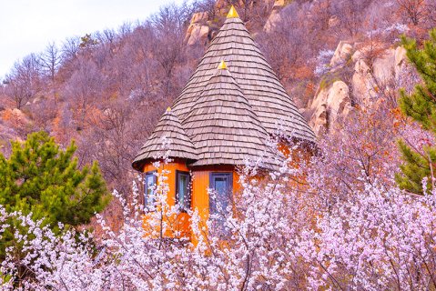 云峰山童话树屋